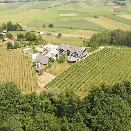 Villa Istenic *