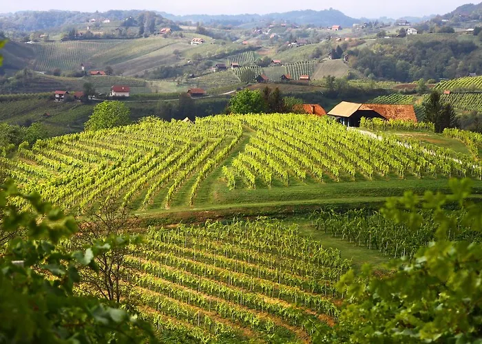 Istenic ヴィラ Bizeljsko